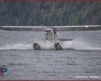 TSR Watermark - 0293